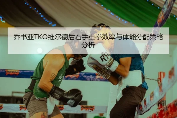乔书亚TKO维尔德后右手重拳效率与体能分配策略分析